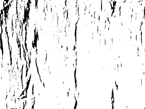 Rustic grunge texture with grain and stains. Abstract noise background. PNG graphic illustration with transparent background.