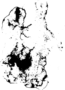 Rustic grunge texture with grain and stains. Abstract noise background. PNG graphic illustration with transparent background.