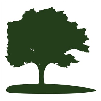 Tree silhouettes illustrations-vector Artwork. eps vector