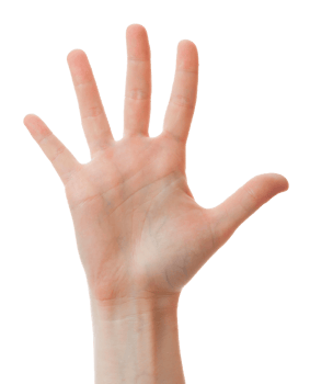 Human hand showing five fingers png
