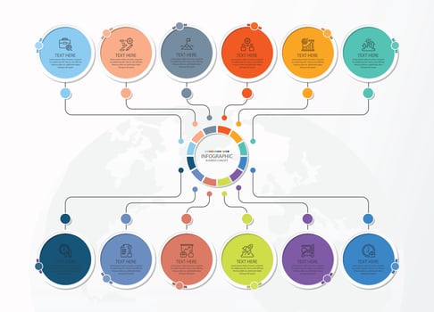 Infographic with 12 steps, process or options. vector