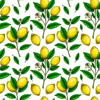 Lemon seamless pattern. Colorful hand drawn vector illustration in sketch style. Tropical exotic citrus fruit summer background