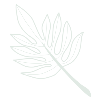 Line art leaf png