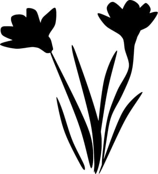 Vector silhouette of Flowers on white background