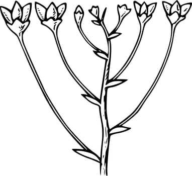 Vector silhouette of Flowers on white background