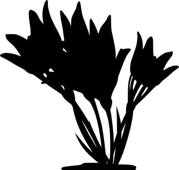 Vector silhouette of Flowers on white background