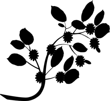 Vector silhouette of Flowers on white background