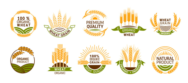 Wheat ears icons, cereal spikes of organic product vector