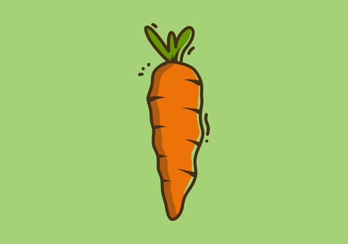Illustration design of orange carrot vector