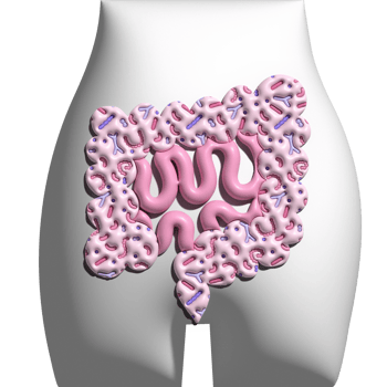 3d render Guts with Microbiome in the human body. Intestines on the background of the silhouette of the pelvis. Colon Volume illustration png