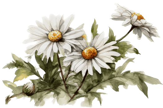 Beautiful flower with leaf watercolor AI Generate png