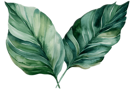 Green leaf watercolor AI Generate png