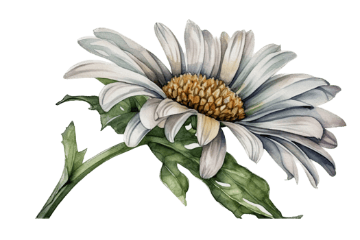Beautiful flower with leaf watercolor AI Generate png