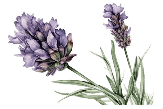 Flower with leaf watercolor AI Generate png