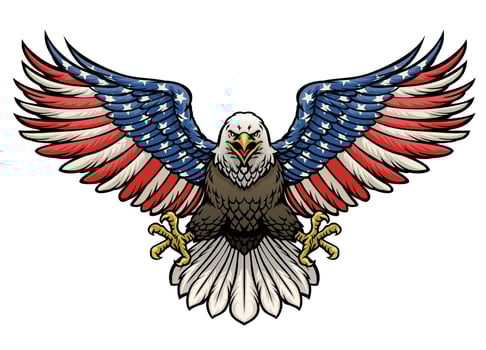 american flag painted bald eagle vector