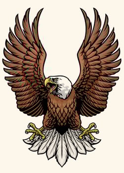 angry bald eagle in hand drawn style vector