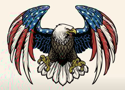 bald eagle with america flag color vector