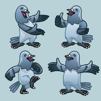 set cartoon character of pigeon bird vector