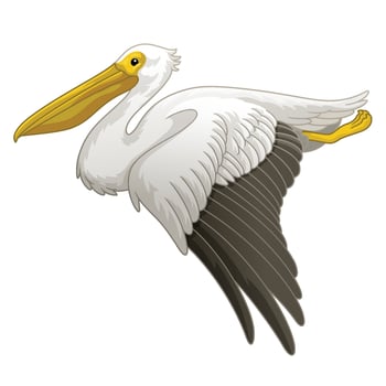 Flying Great white pelican in hand drawn style vector