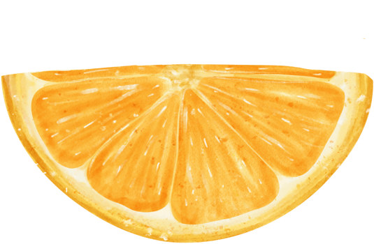 Watercolour piece sliced cut orange fruit hand painted illustration png