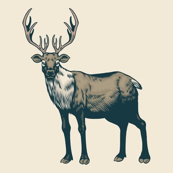 Reindeer in Vintage Style Drawing vector