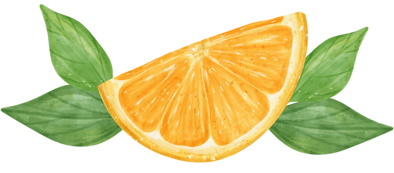 Watercolor fresh orange fruit hand drawing painted illustration with composition png