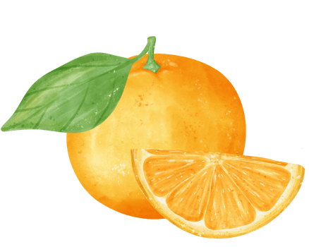 Watercolor fresh orange fruit hand drawing painted illustration with composition png