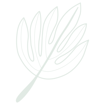 Line art leaf png