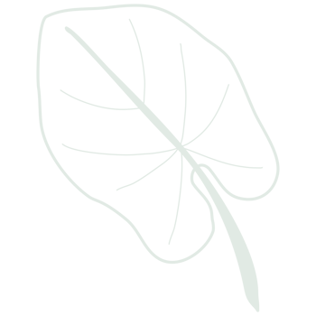 Line art leaf png