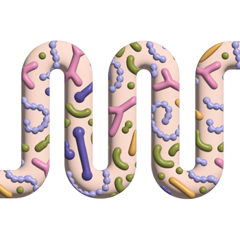 3d render Gut microbiome banner with abstarct guts. Human intestine microbiota with healthy probiotic bacteria. Volume abstract medicine illustration of microbiology checkup. png