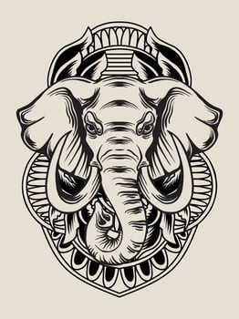 Illustration elephant head with engraving ornament vector