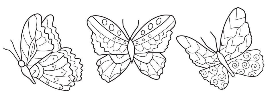 Butterfly illustration. Line art. Vector illustration on white background. Two versions, black shape and black and white silhouette. Cut out, pictures to color