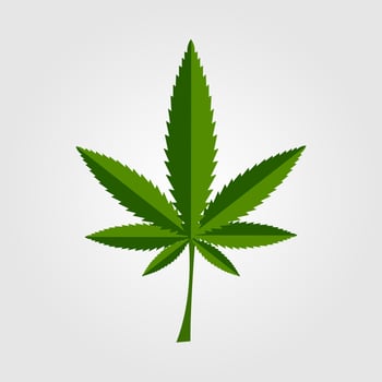 Green cannabis leaf icon design vector