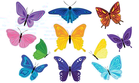 A set of bright and beautiful butterflies with patterns on the wings vector