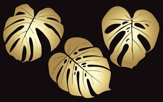 Monstera Deliciosa plant leaf from tropical forests isolated. Vector for greeting cards, flyers, invitations, web design