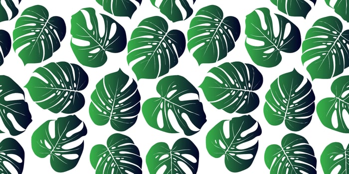 Tropical background with monstera leaves. Seamless floral exotic hawaiian pattern. Jungle  palm wallpaper. vector