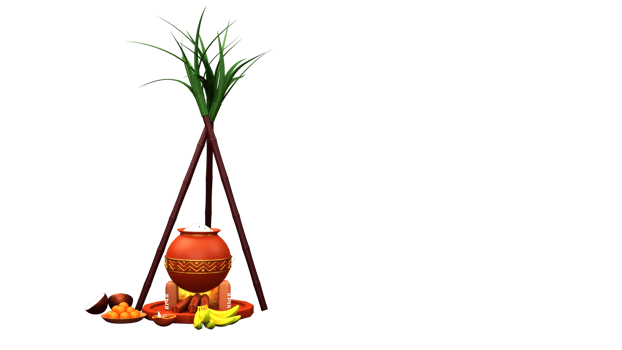3D Render Pongal Dish Cooking In Clay Pot At Earthen Stove With Sugarcanes, Indian Sweet, Fruit, Lit Oil Lamp Element. png