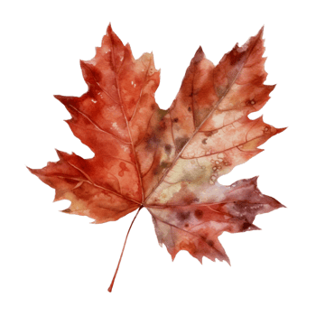 Beautiful autumn leaf watercolor ai generate png