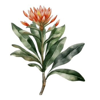 Tropical leaf watercolor ai generate png