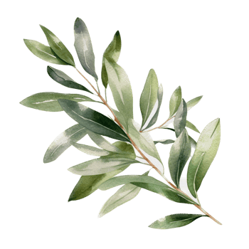 Green leaf watercolor ai generate png