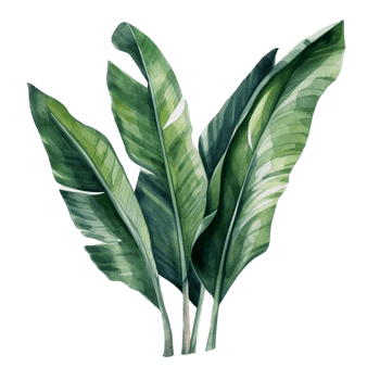 Tropical leaf watercolor ai generate png