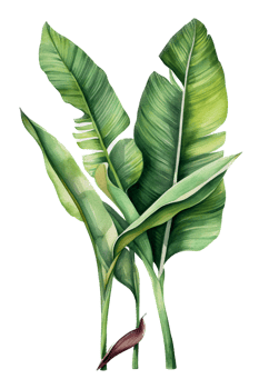 Tropical leaf watercolor ai generate png