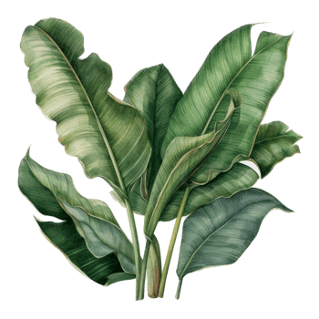 Tropical leaf watercolor ai generate png