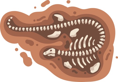 Dinosaur skeleton. Vector illustration isolated on white background. Cartoon style.