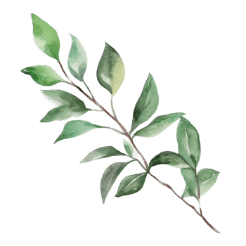 Green leaf watercolor ai generate png