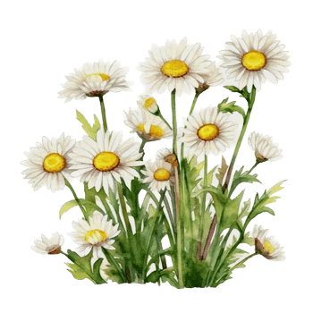 Beautiful flower with leaf watercolor ai generate png