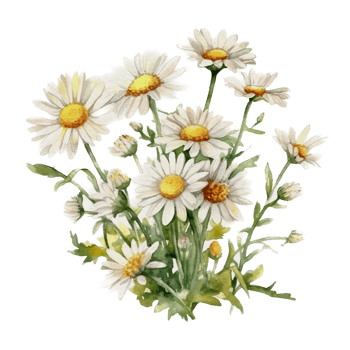 Beautiful flower watercolor ai generate png
