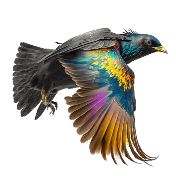 Common Raven Bird Watercolor Painting Flight png