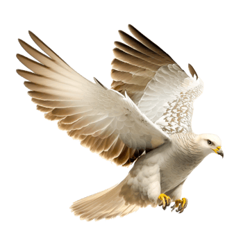 Flying white and brown owl png