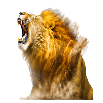 roaring loin free illustration png